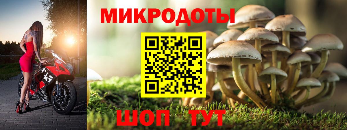 Псилоцибиновые грибы Magic Shrooms Буйнакск
